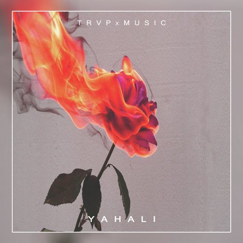 T R V P x M U S I C Songs MP3 Download